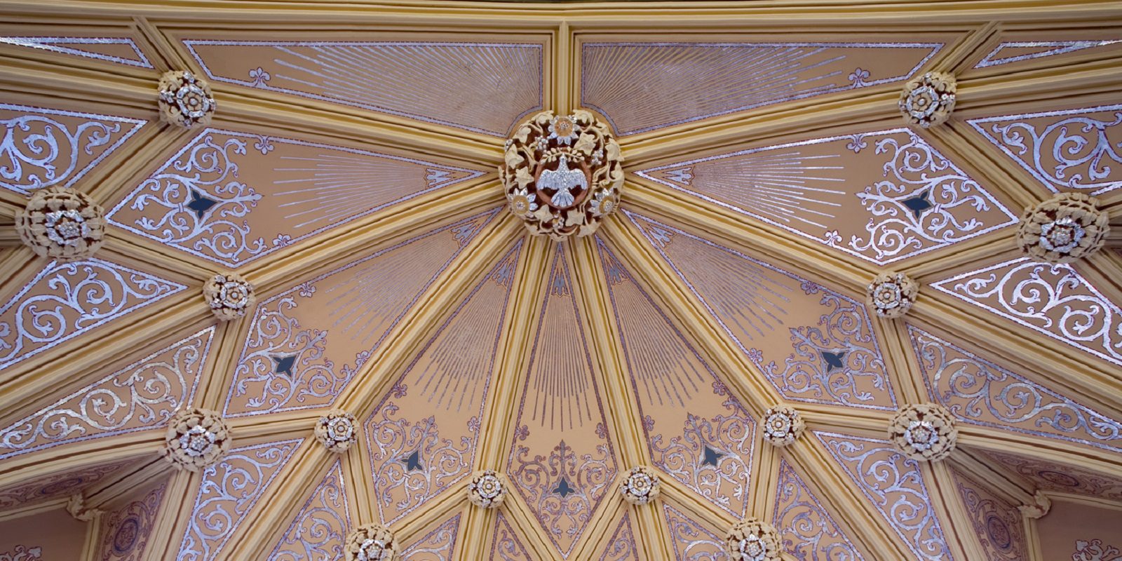 St. Ann Ceiling